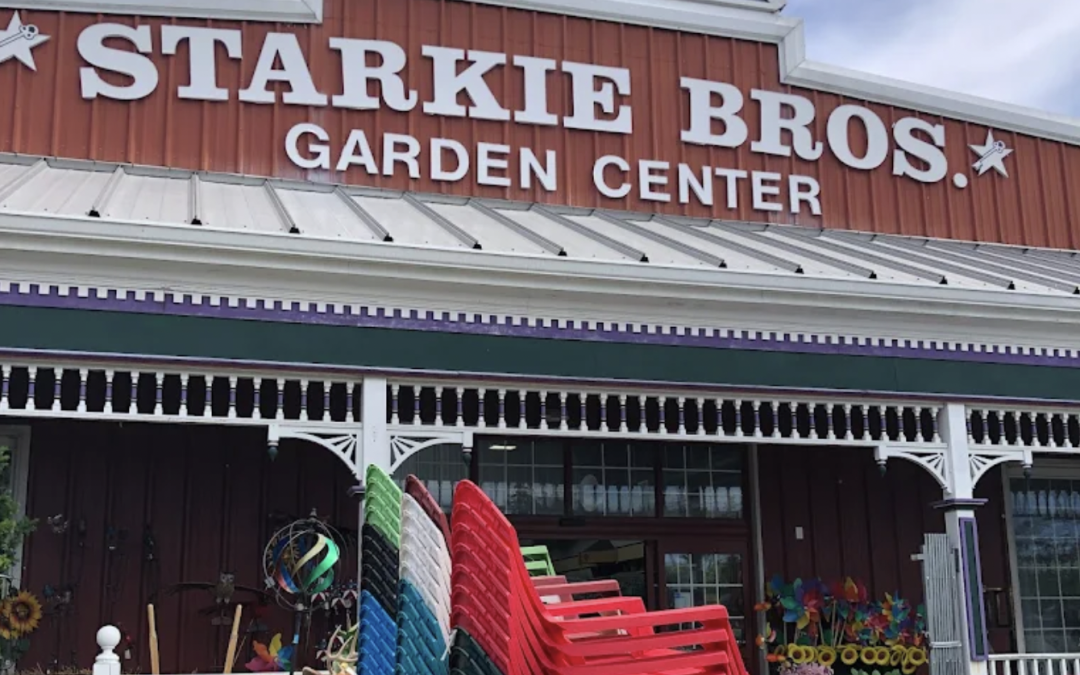 Starkie Bros Garden Center – Google LIA Success